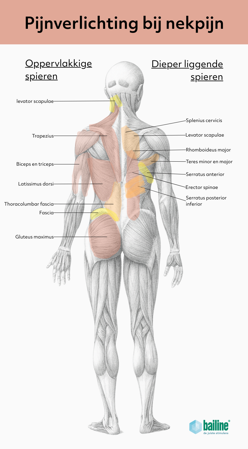 Pijnverlichting bij nekpijn met passieve EMS-training van Bailine