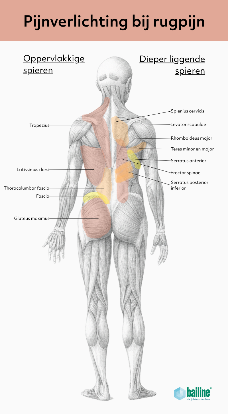 Pijnverlichting bij rugpijn met passieve EMS-training van Bailine