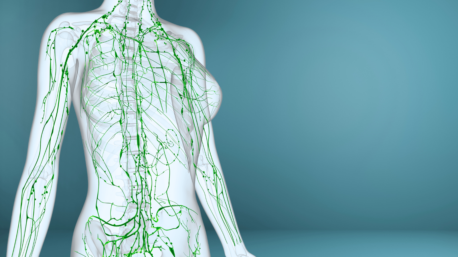 Lymfedrainage massage met EMS van Bailine